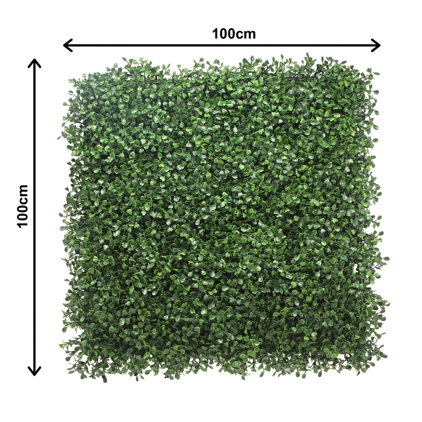 Boxwood Hedge Mat Pack of 5 size - Grass Cash and Carry