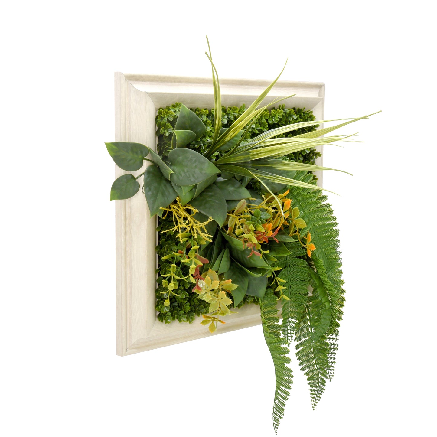 Vesta Frame