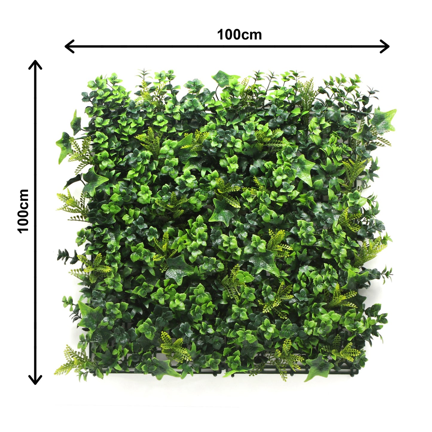 Holly Hedge Mat size.jpg - Grass Cash and Carry