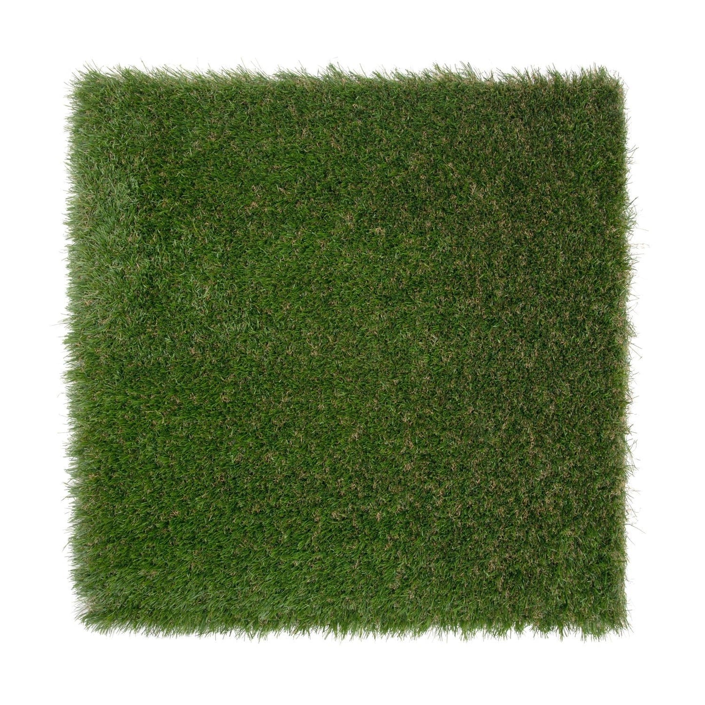 Anneay 35mm Artificial Grass - Grass Cash and Carry