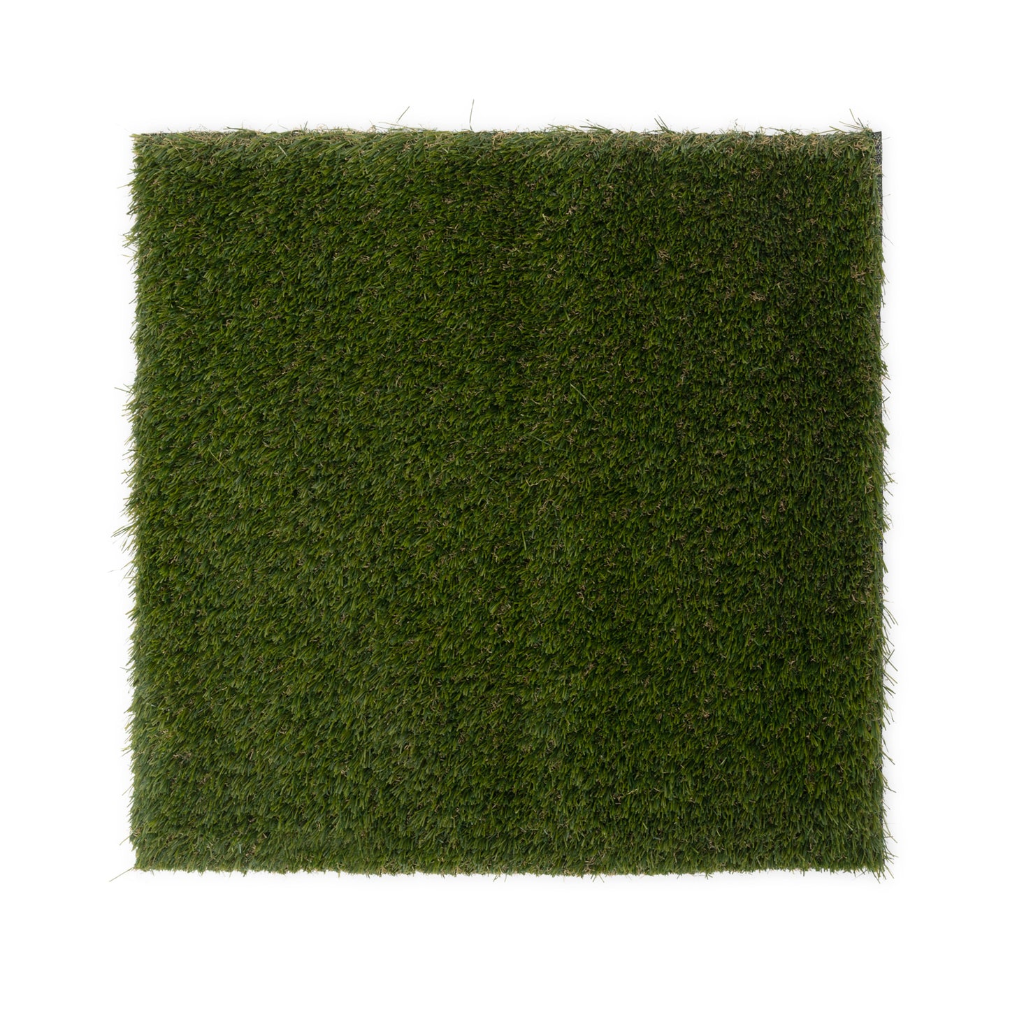 Arlington Wall Grass