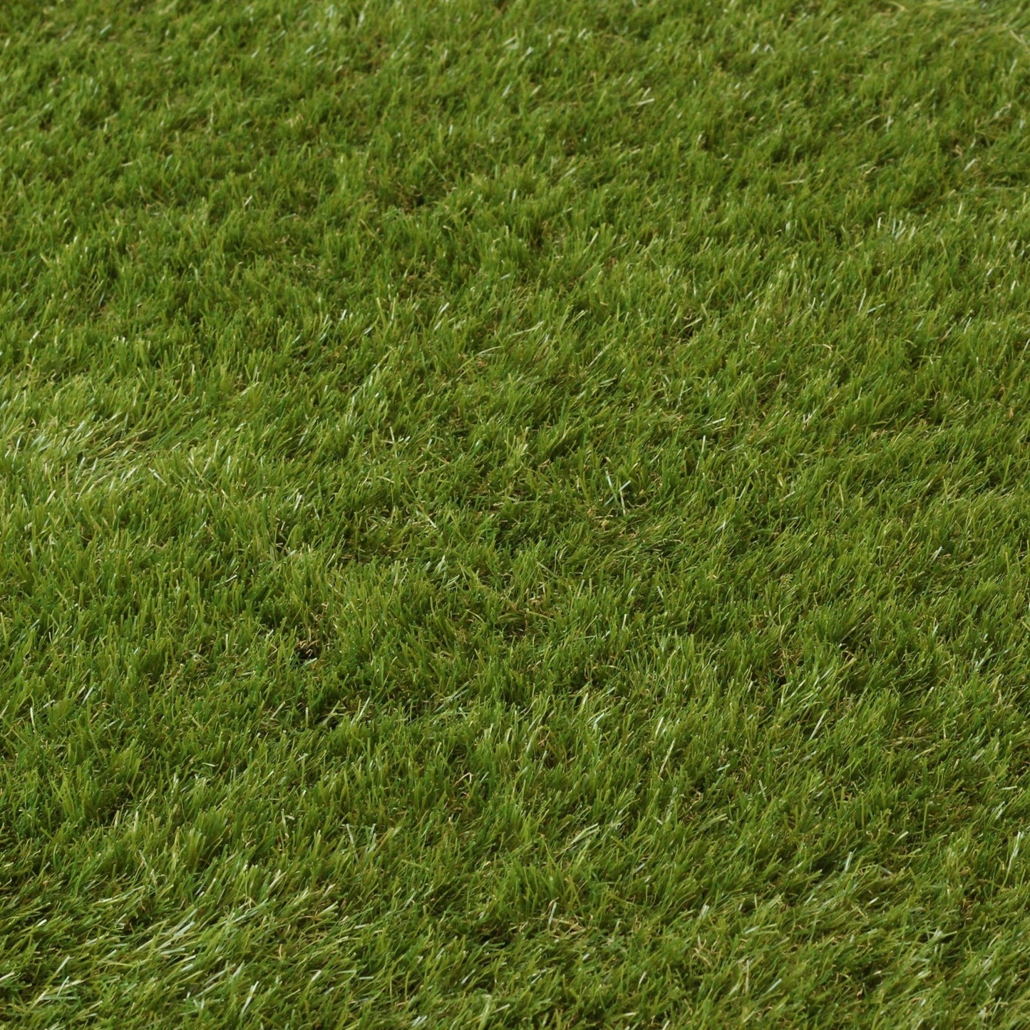 Babylon Wall Grass Sample - Grass Cash and Carry