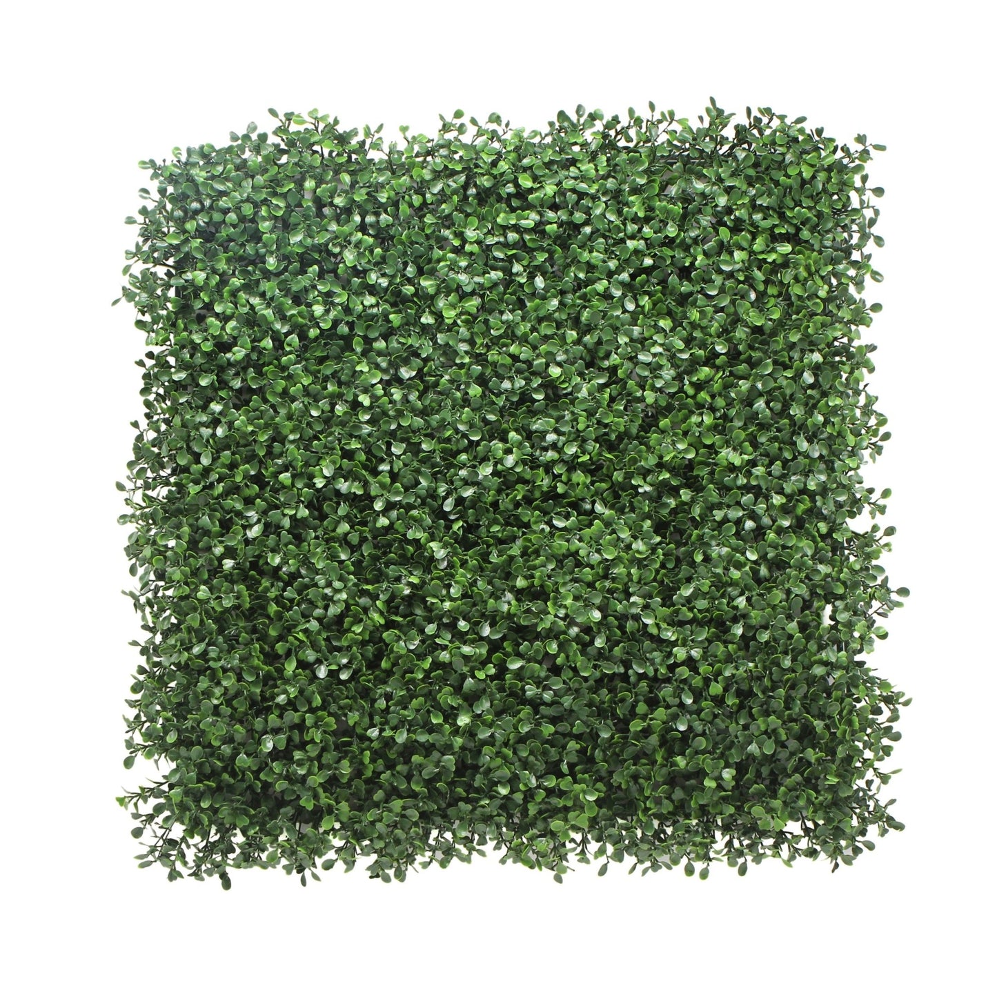 Boxwood Hedge Mat (Pack of 5) - Grass Cash and Carry