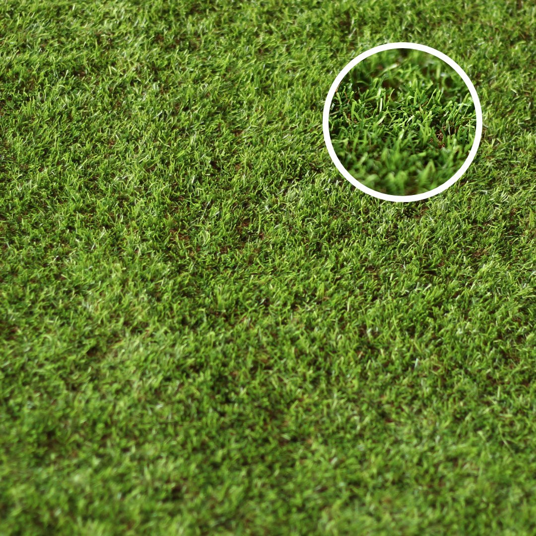 Camden 30mm Budget Artificial Grass with close up