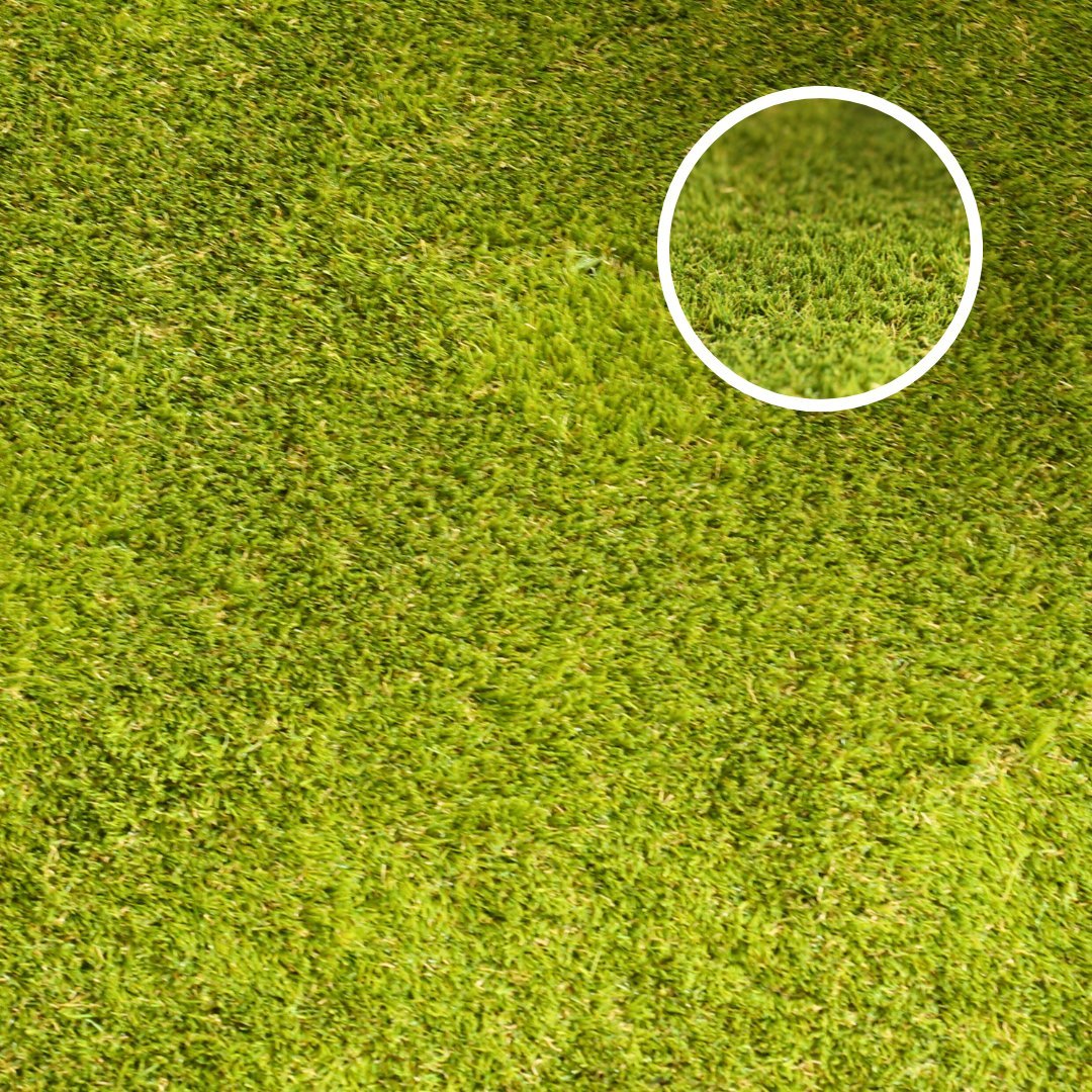 Helmsley 40mm Artificial Grass with close up