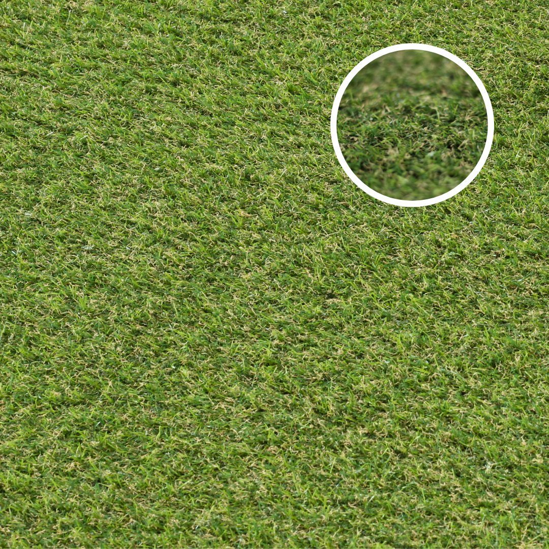 Polperro 40mm Artificial Grass with close up