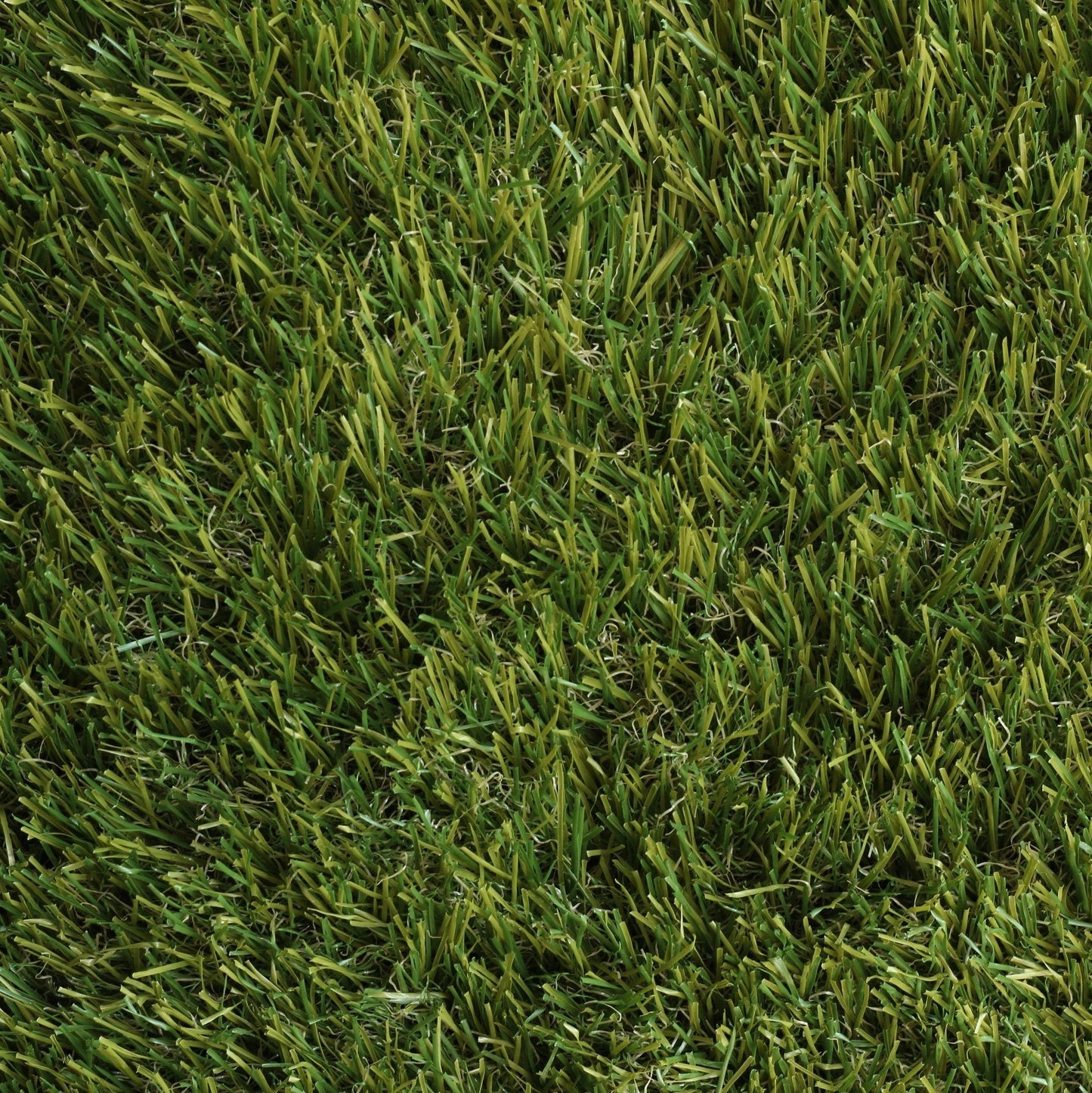 Stanton F 35mm Artificial Grass with close up - Grass Cash and Carry