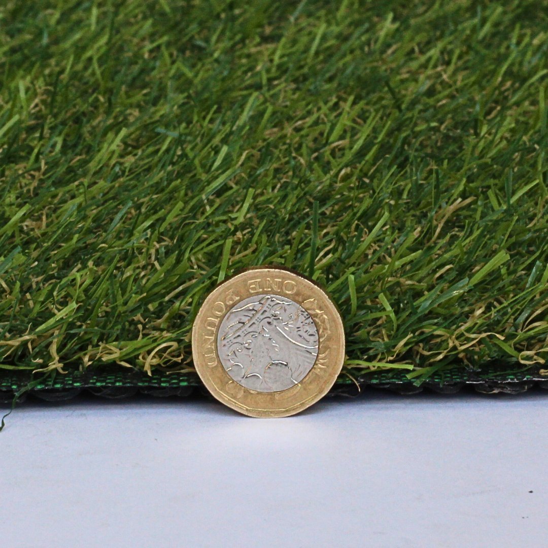 Salvador Pet Patch - Grass Cash and Carry