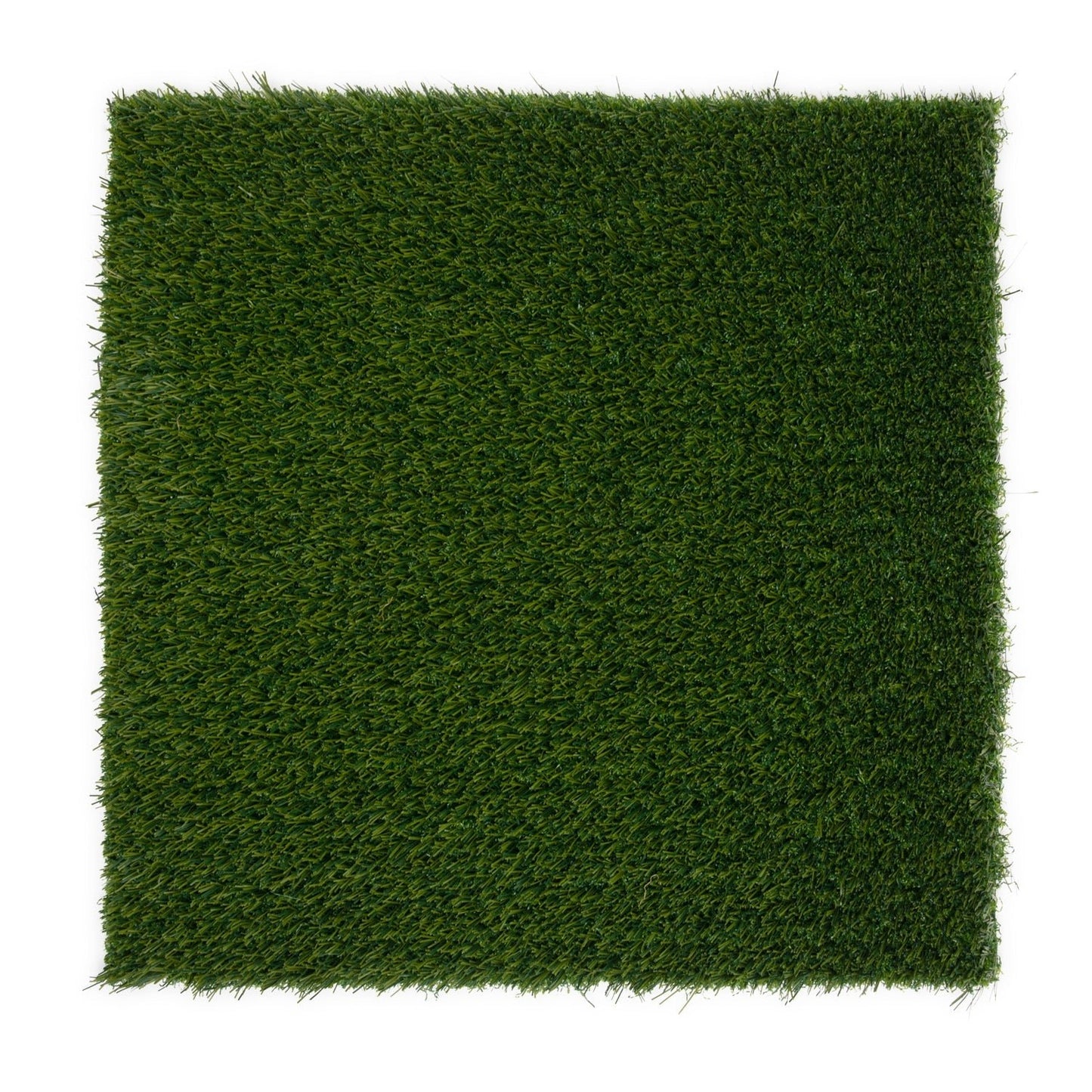 Sport 30mm Artificial Grass Sample - Grass Cash and Carry