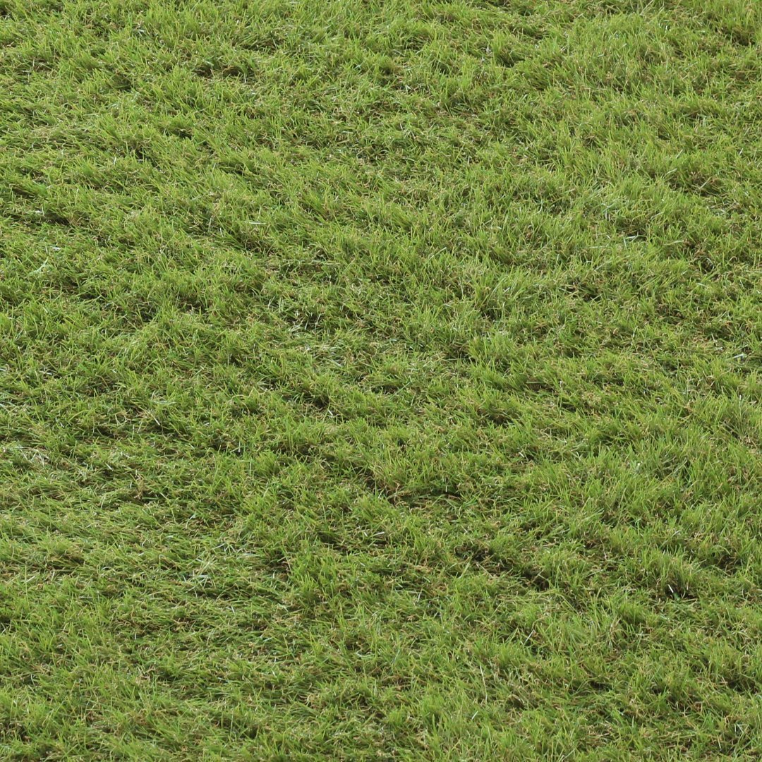 Stanton F 35mm Artificial Grass (2)