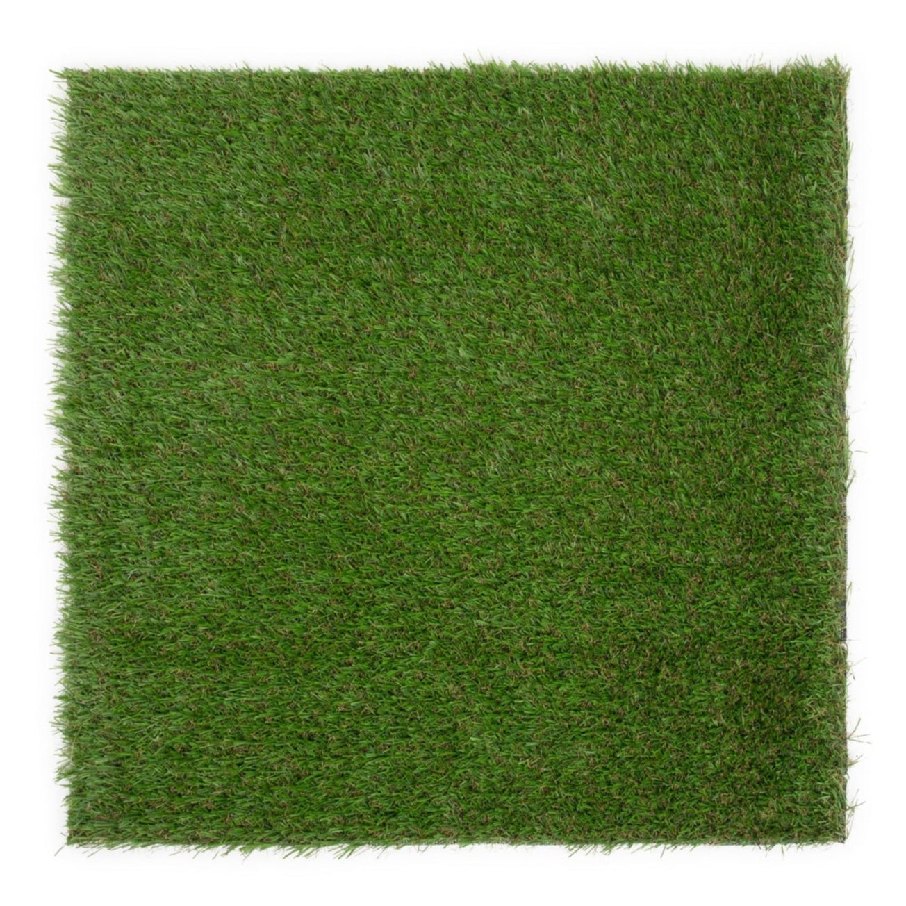 Toulouse 20mm Artificial Grass Sample - Grass Cash and Carry