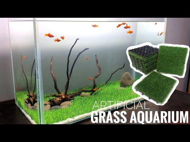 Washington Aquarium Grass - Grass Cash and Carry