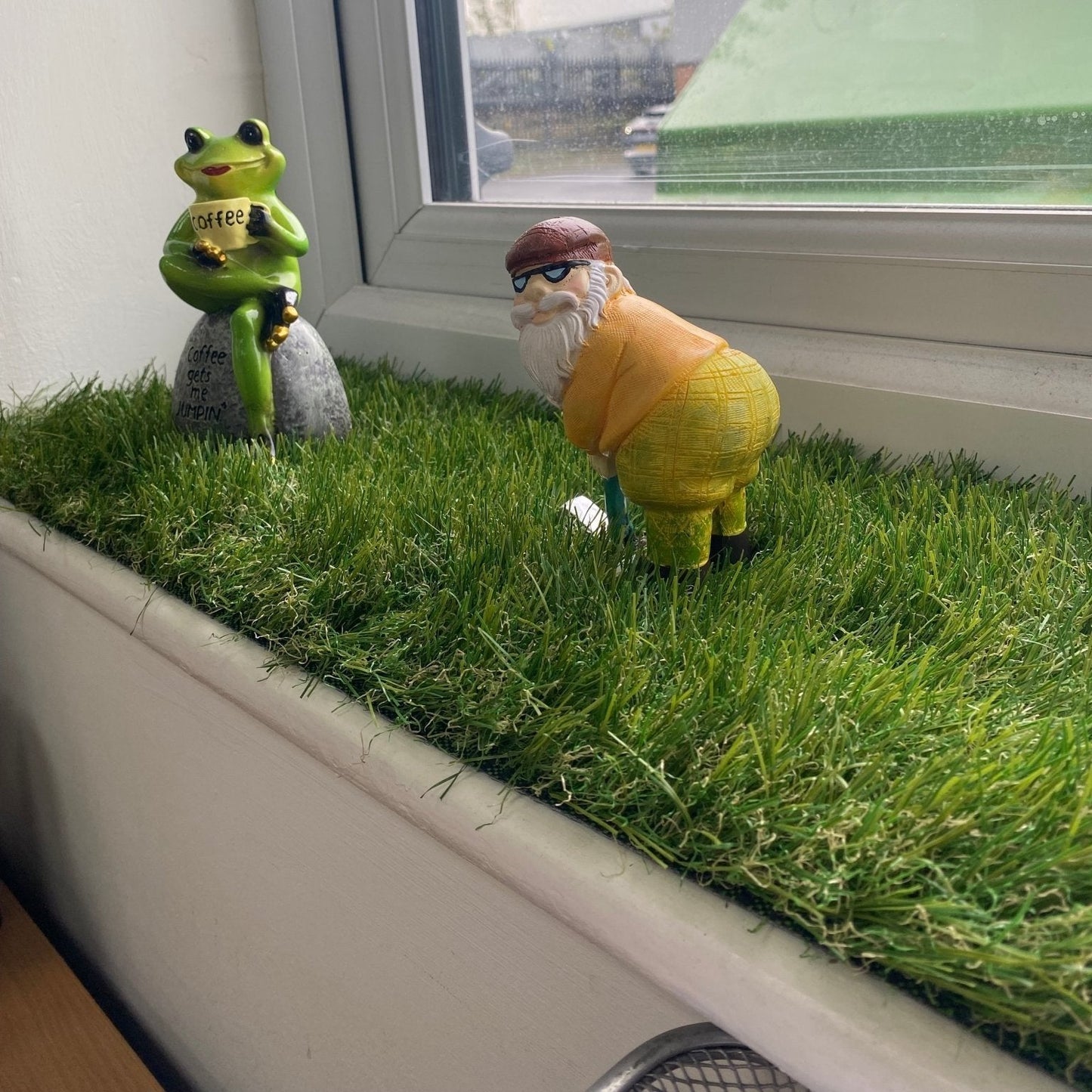 Wichita window sill grass - Grass Cash and Carry