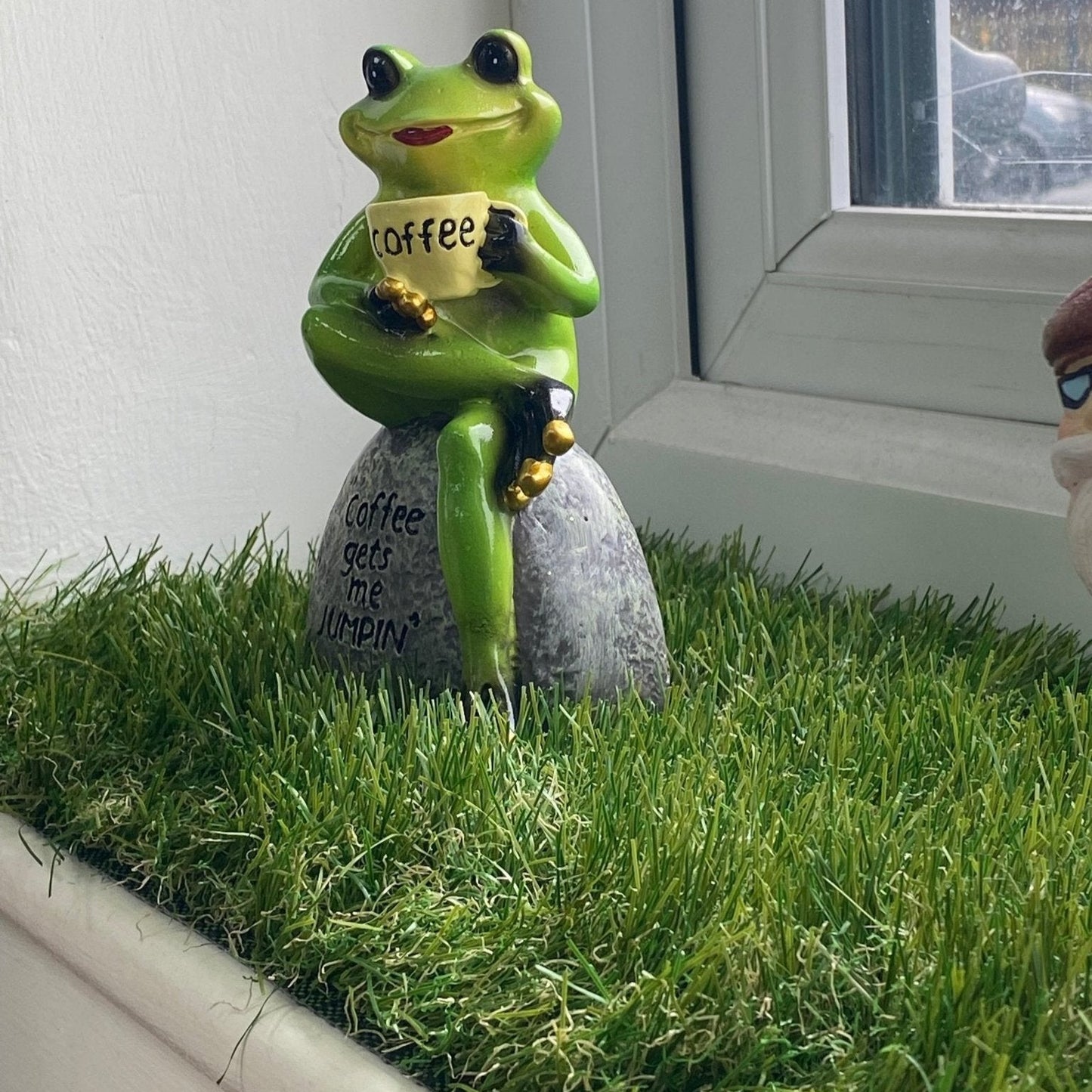 Wichita window sill grass - Grass Cash and Carry