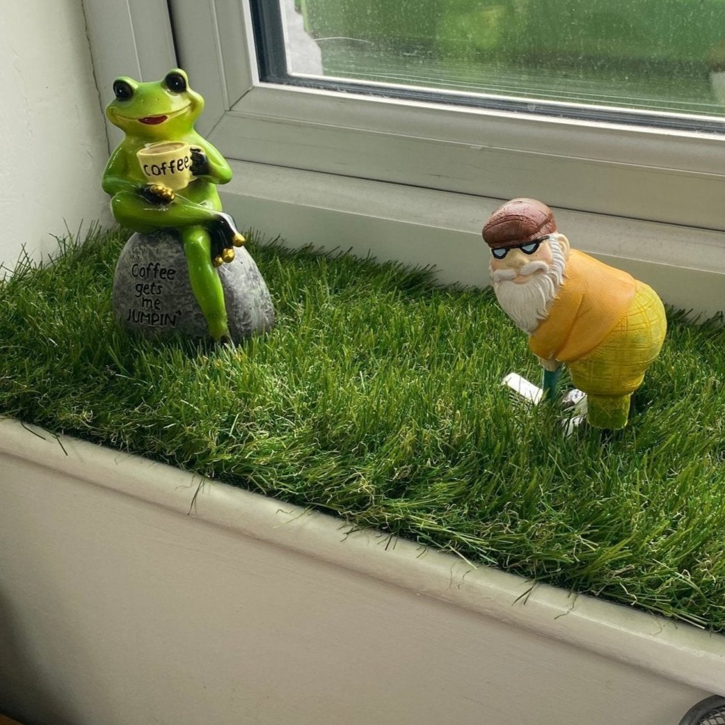 Wichita window sill grass - Grass Cash and Carry