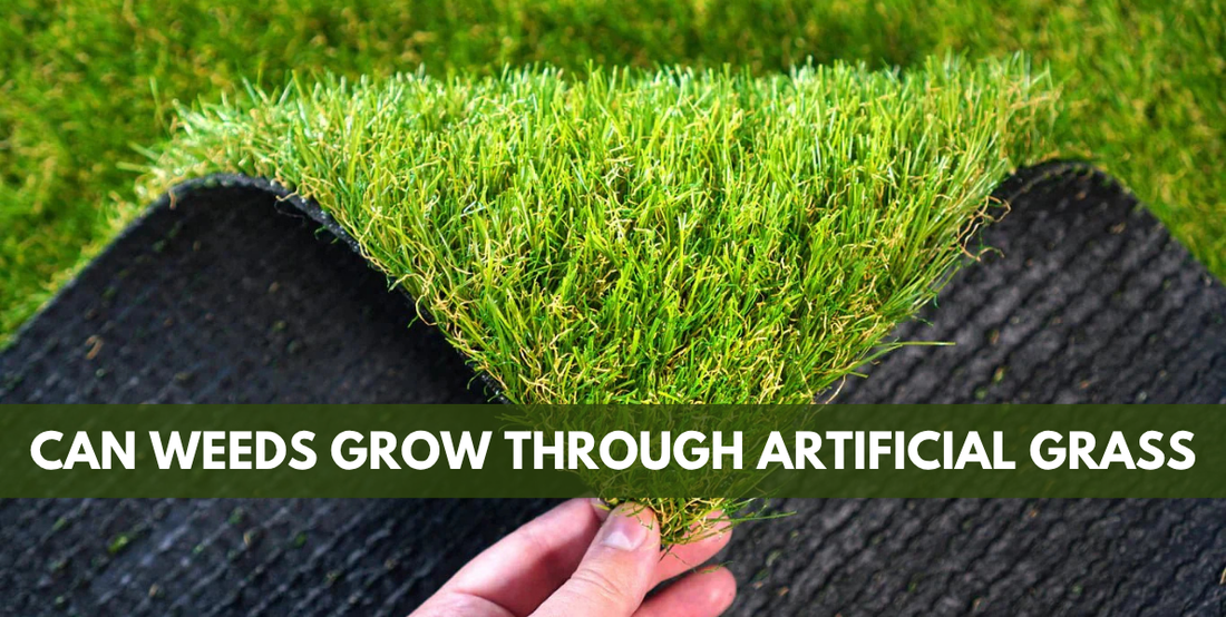 Can Weeds Grow Through Artificial Grass?