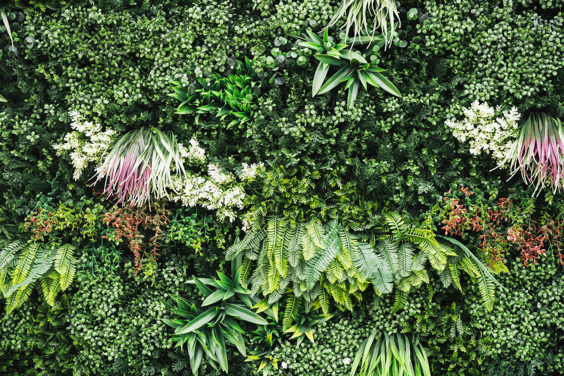 How to Install Green Wall Panels (Indoors or Outside)