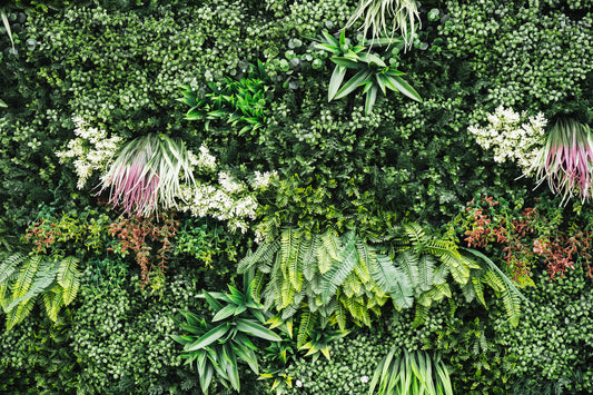 How to Install Green Wall Panels (Indoors or Outside)