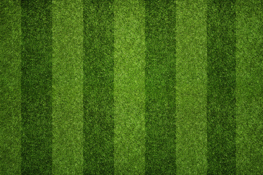 artificial grass after deep cleaning with striped pattern