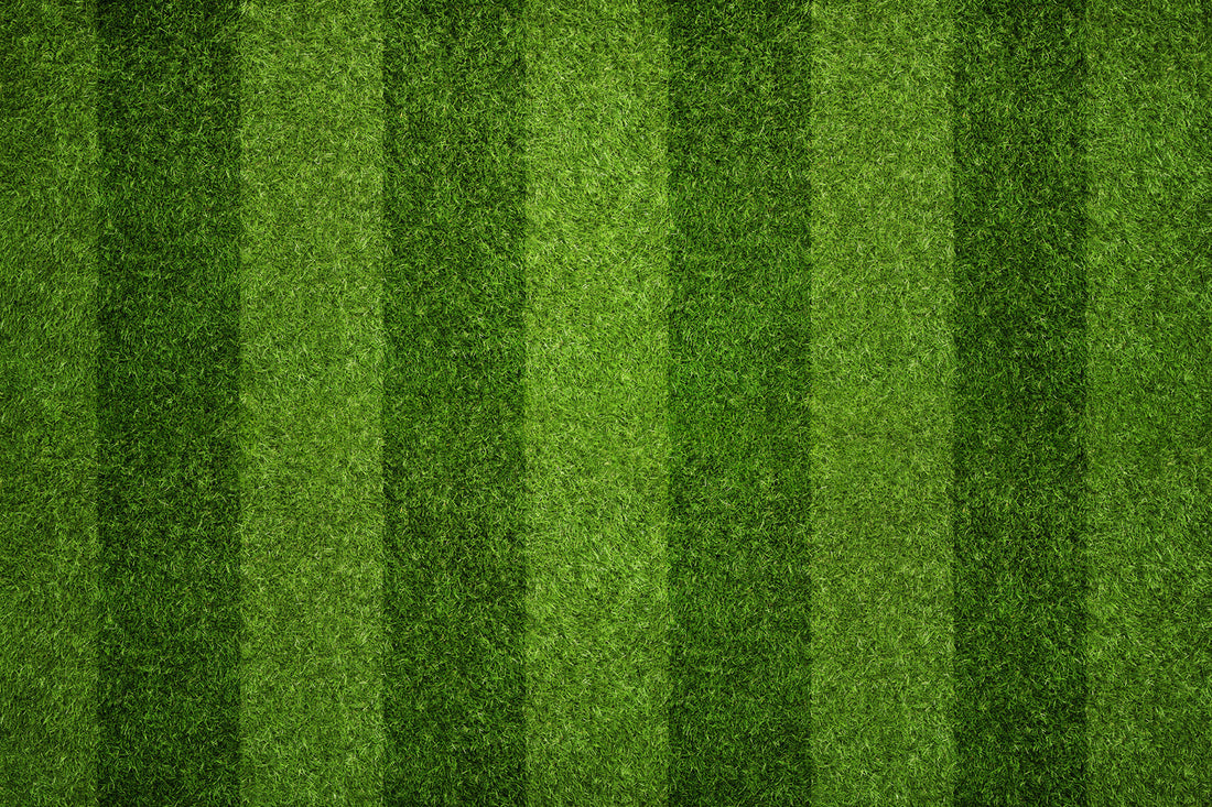 artificial grass after deep cleaning with striped pattern