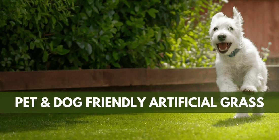 Pet-Friendly Artificial Grass: What You Need to Know - Grass Cash and Carry