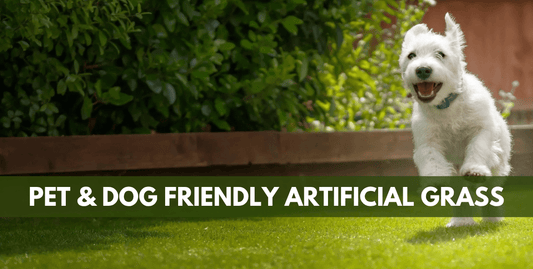 Pet-Friendly Artificial Grass: What You Need to Know - Grass Cash and Carry