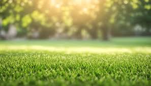 Will UV Light damage my Artificial Grass? - Grass Cash and Carry