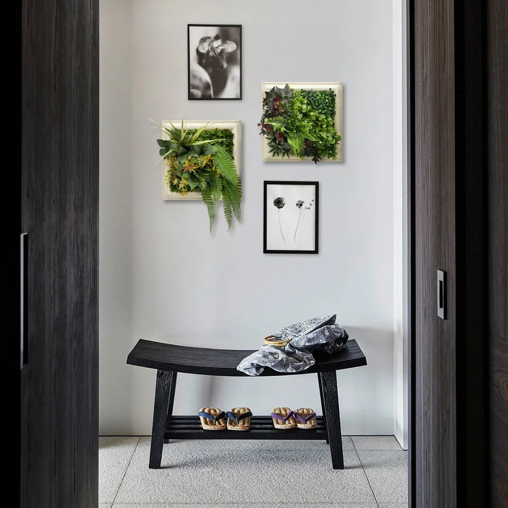 Vesta Frame