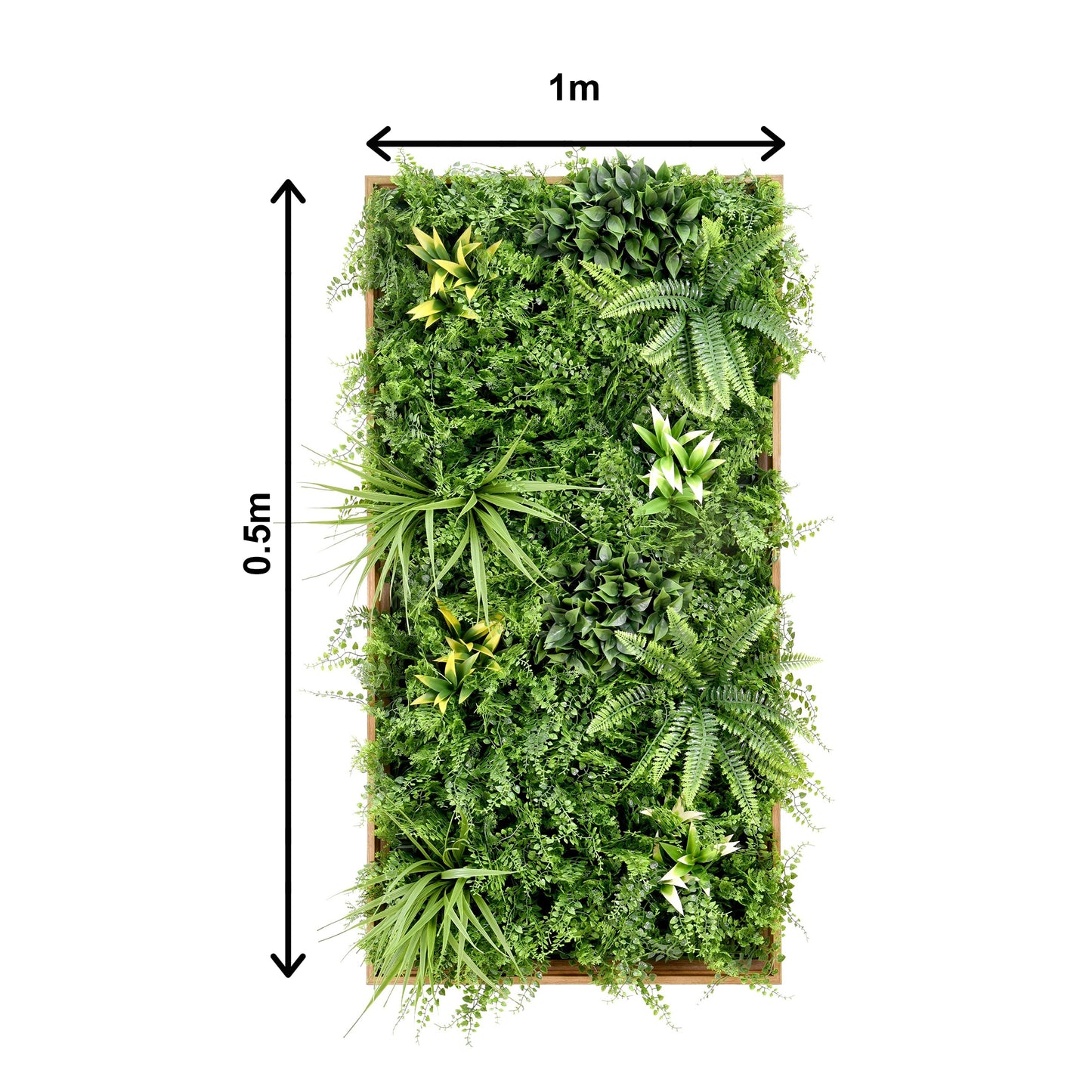 Fern Plus Frame - Grass Cash and Carry