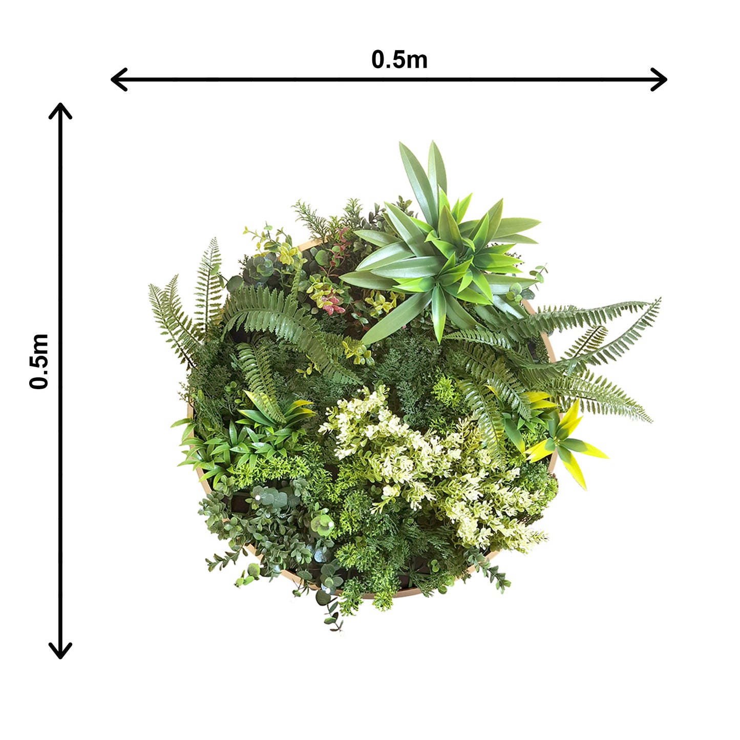 Juno Frame size - Grass Cash and Carry