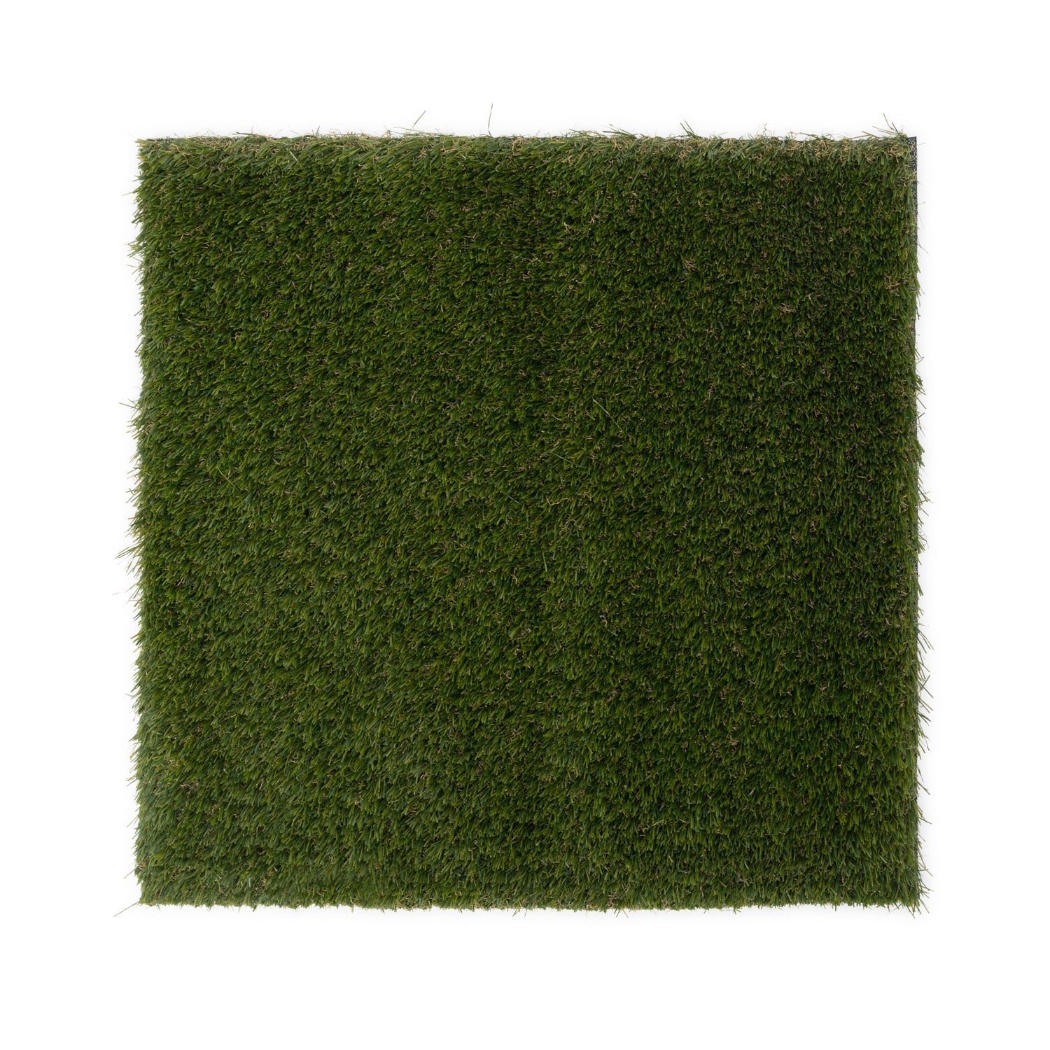 Arlington Wall Grass Sample - Grass Cash and Carry