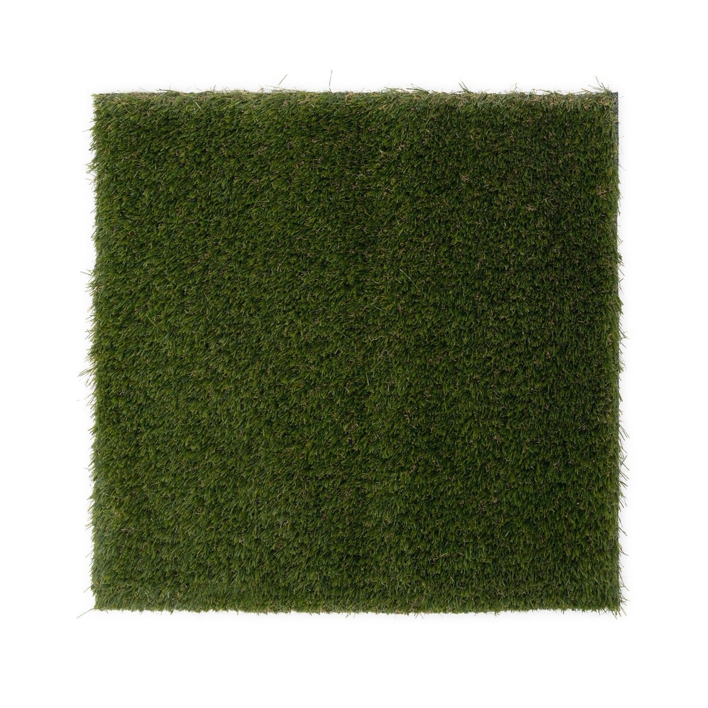 Avondale 30mm Artificial Grass – Grass Cash and Carry Manchester – image 1