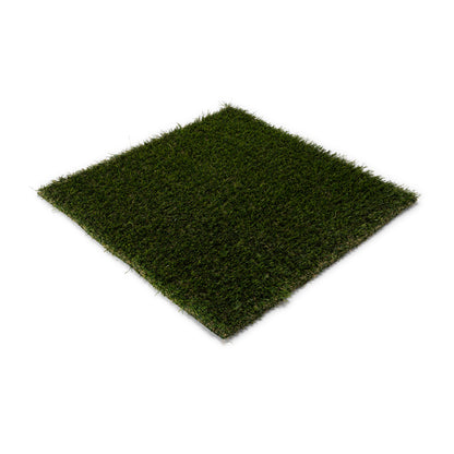Arlington Wall Grass