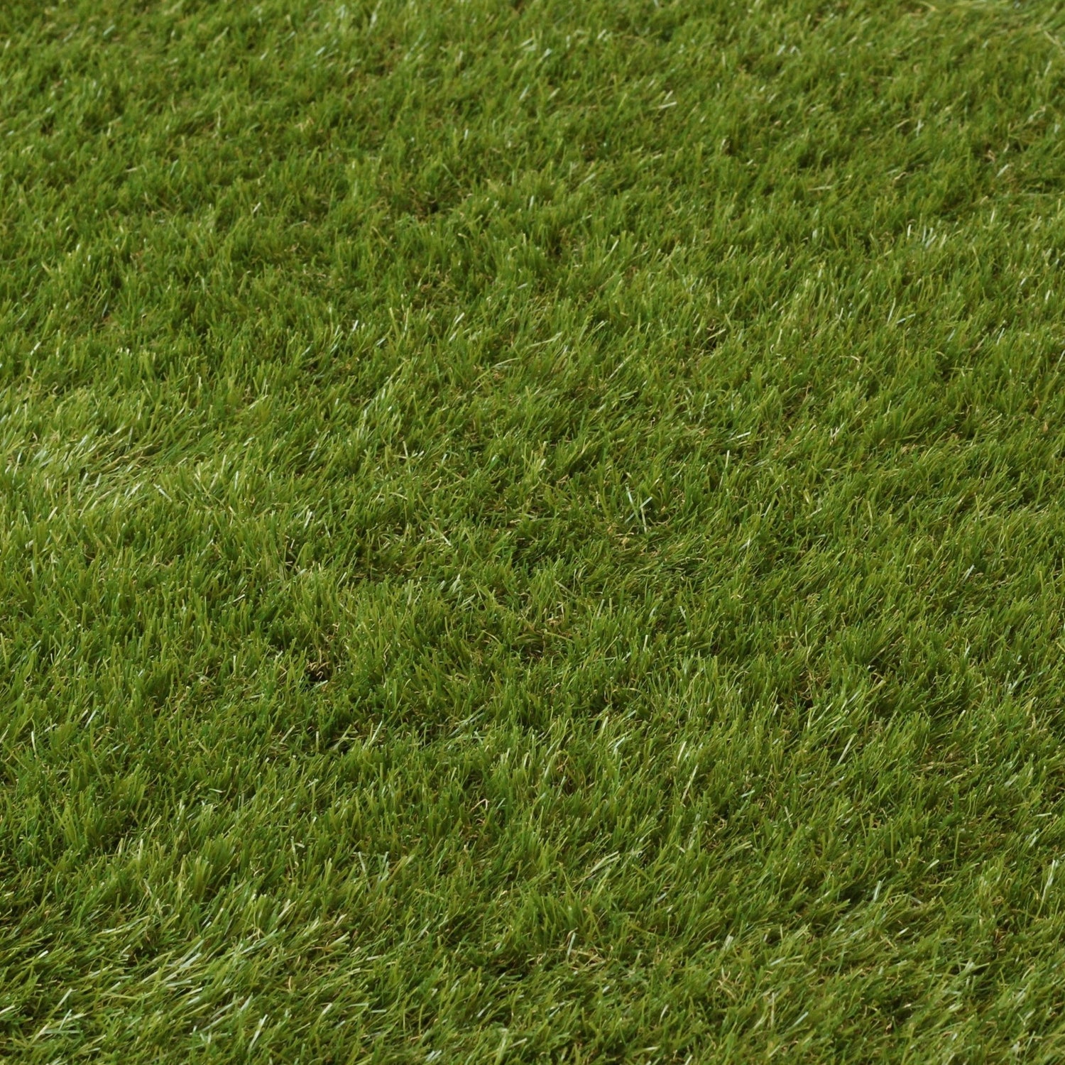 Babylon Wall Grass Sample - Grass Cash and Carry