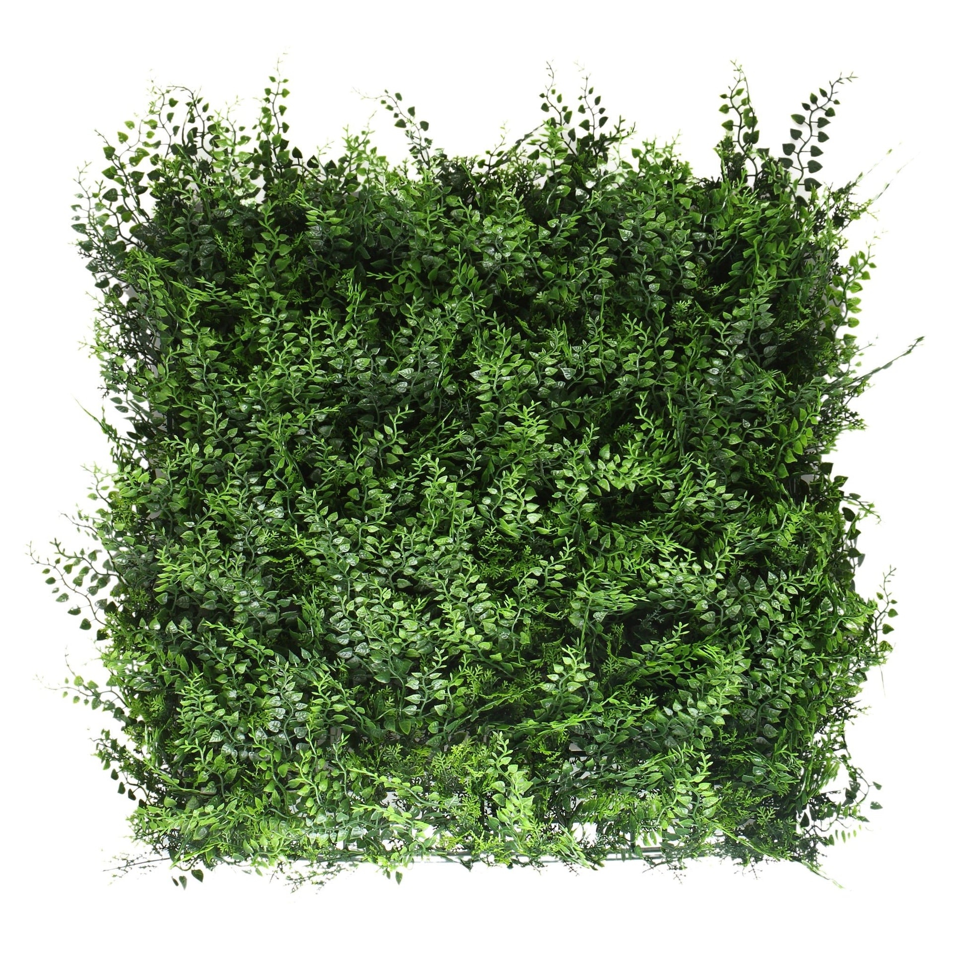 Fern Hedge Mat (Pack of 5) - Grass Cash and Carry