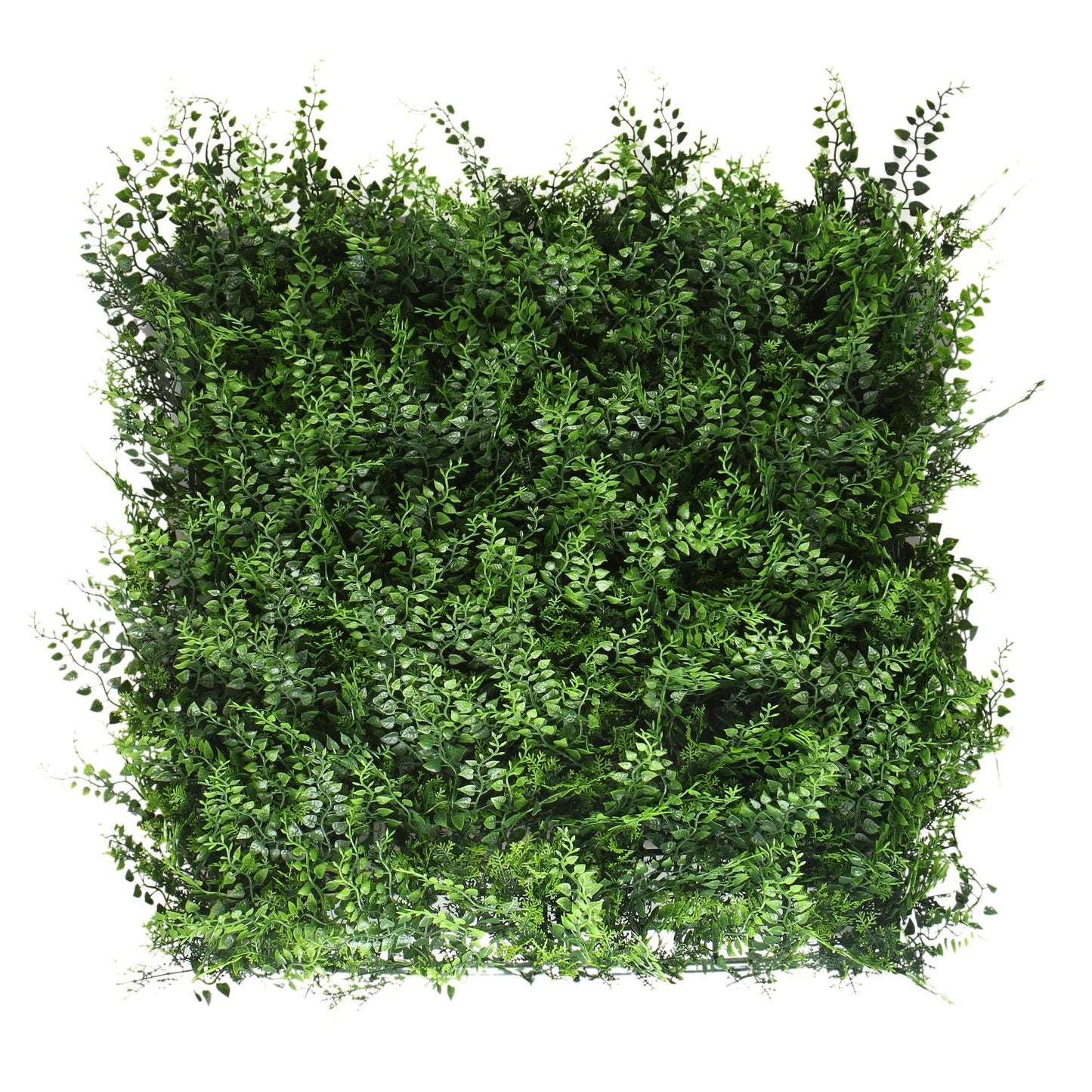 Fern Hedge Mat (Pack of 5) - Grass Cash and Carry - image 1