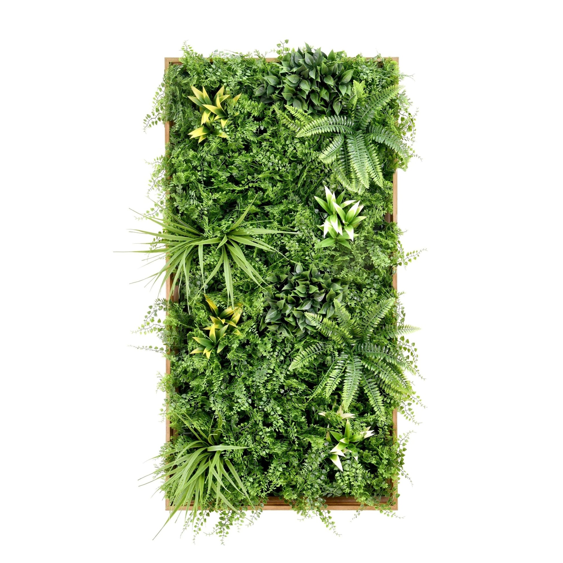 Fern Plus Frame - Grass Cash and Carry