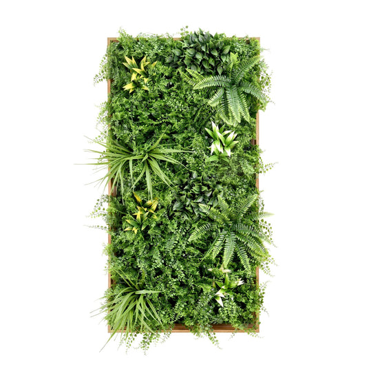 Fern Plus Frame - Grass Cash and Carry