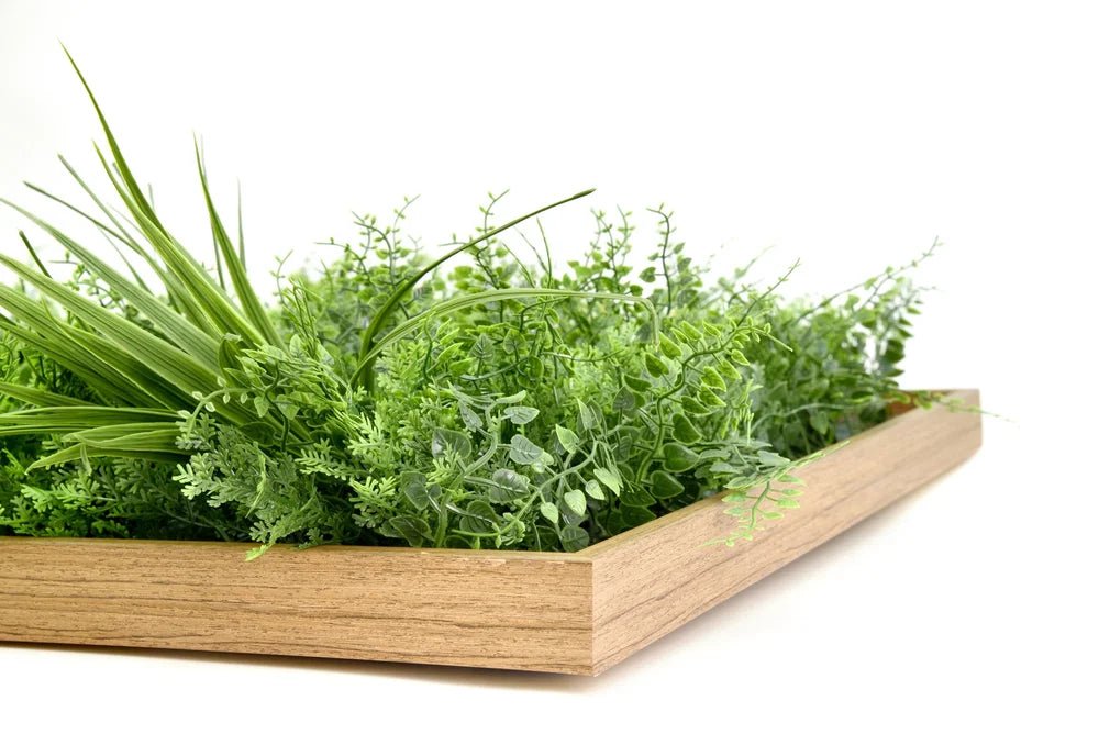Fern Plus Frame - Grass Cash and Carry