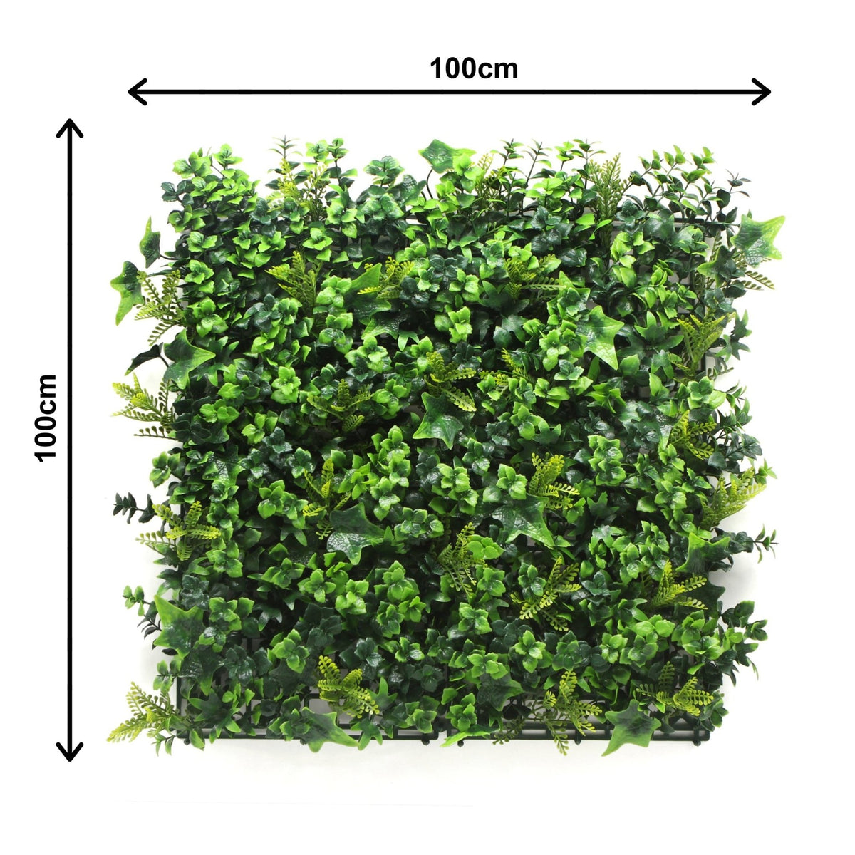 Holly Hedge Mat (Pack of 5) - Grass Cash and Carry