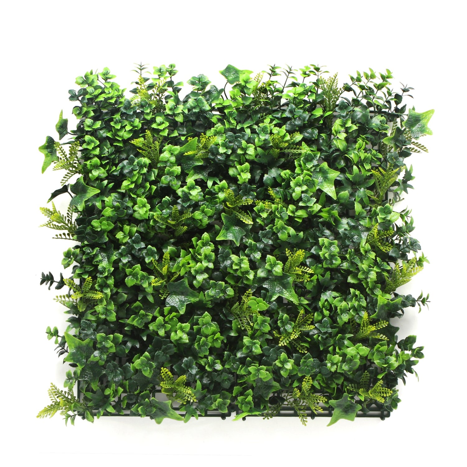 Holly Hedge Mat (Pack of 5) - Grass Cash and Carry