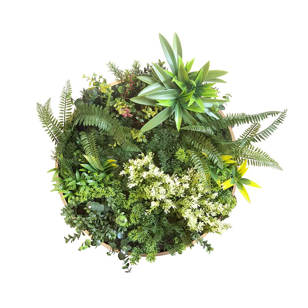 Juno Frame - Grass Cash and Carry