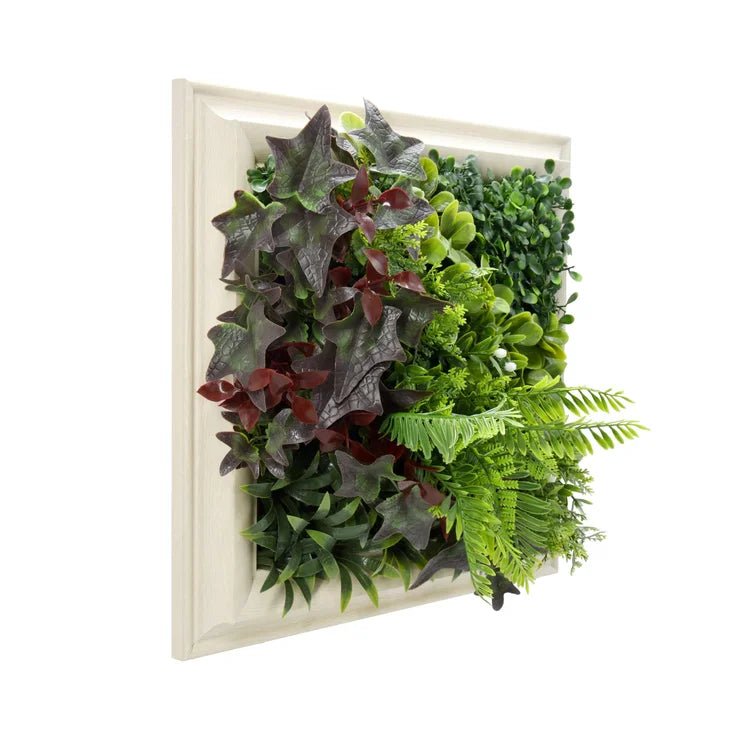Latona Frame - Grass Cash and Carry