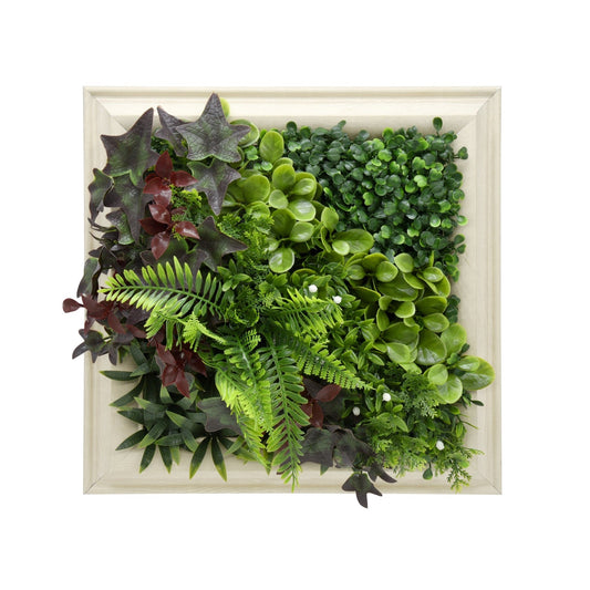 Latona Frame - Grass Cash and Carry