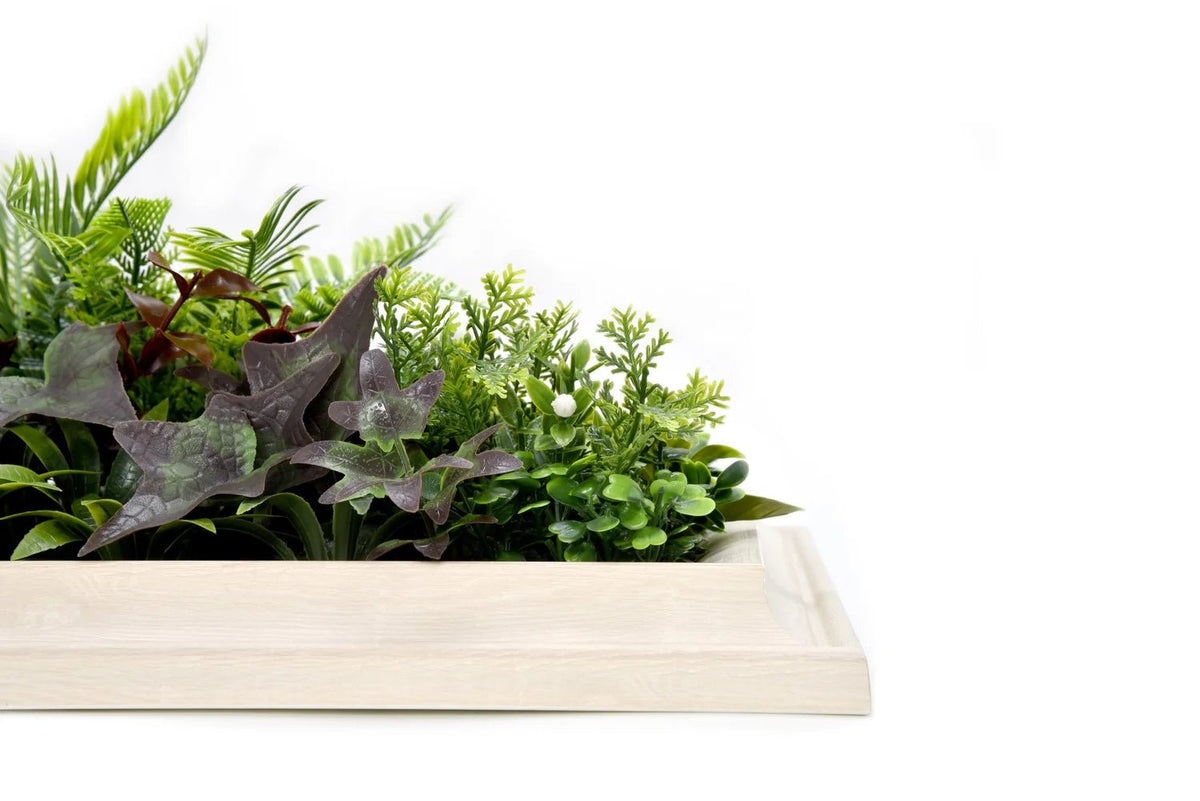 Latona Frame - Grass Cash and Carry