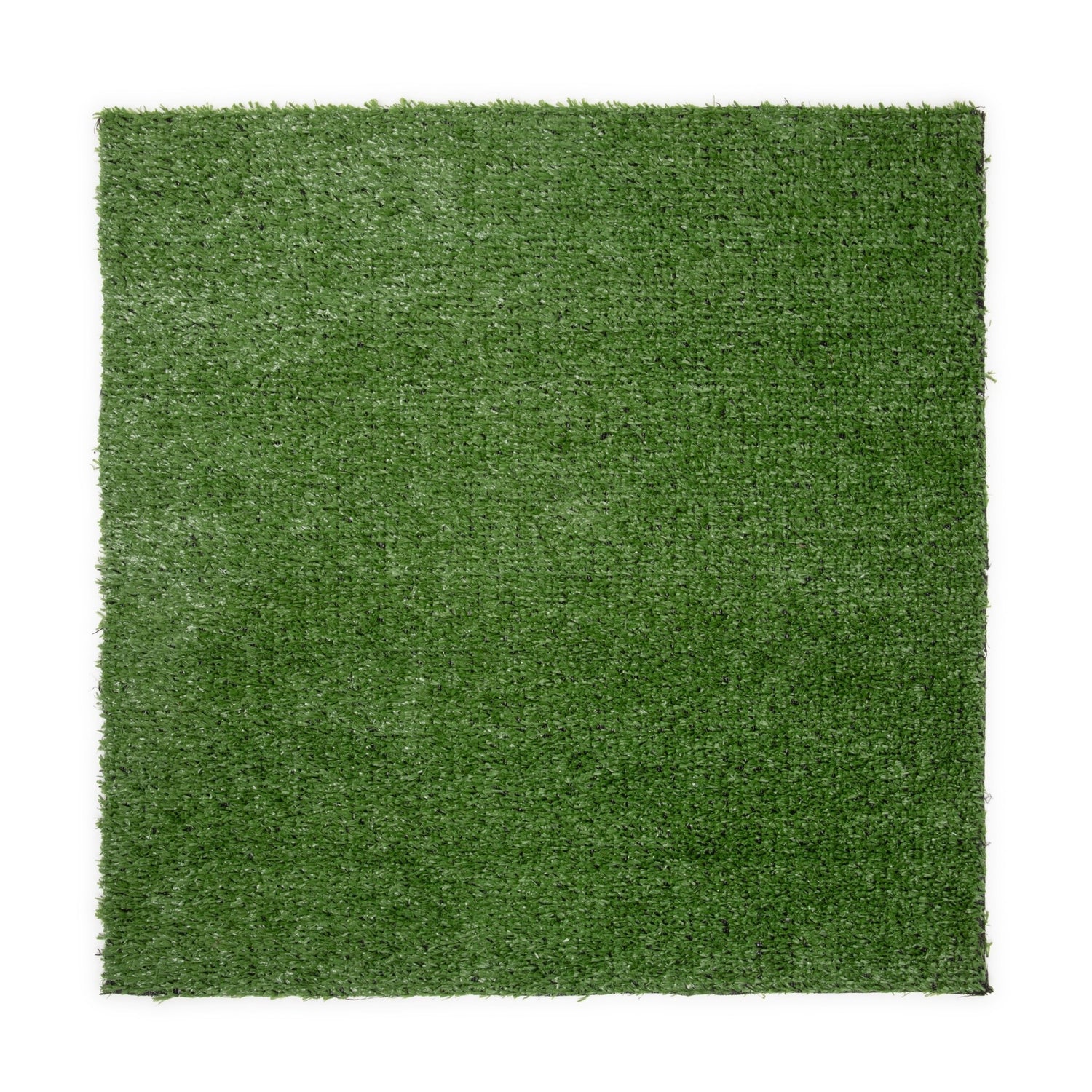 Lilo Wall Grass - Grass Cash and Carry