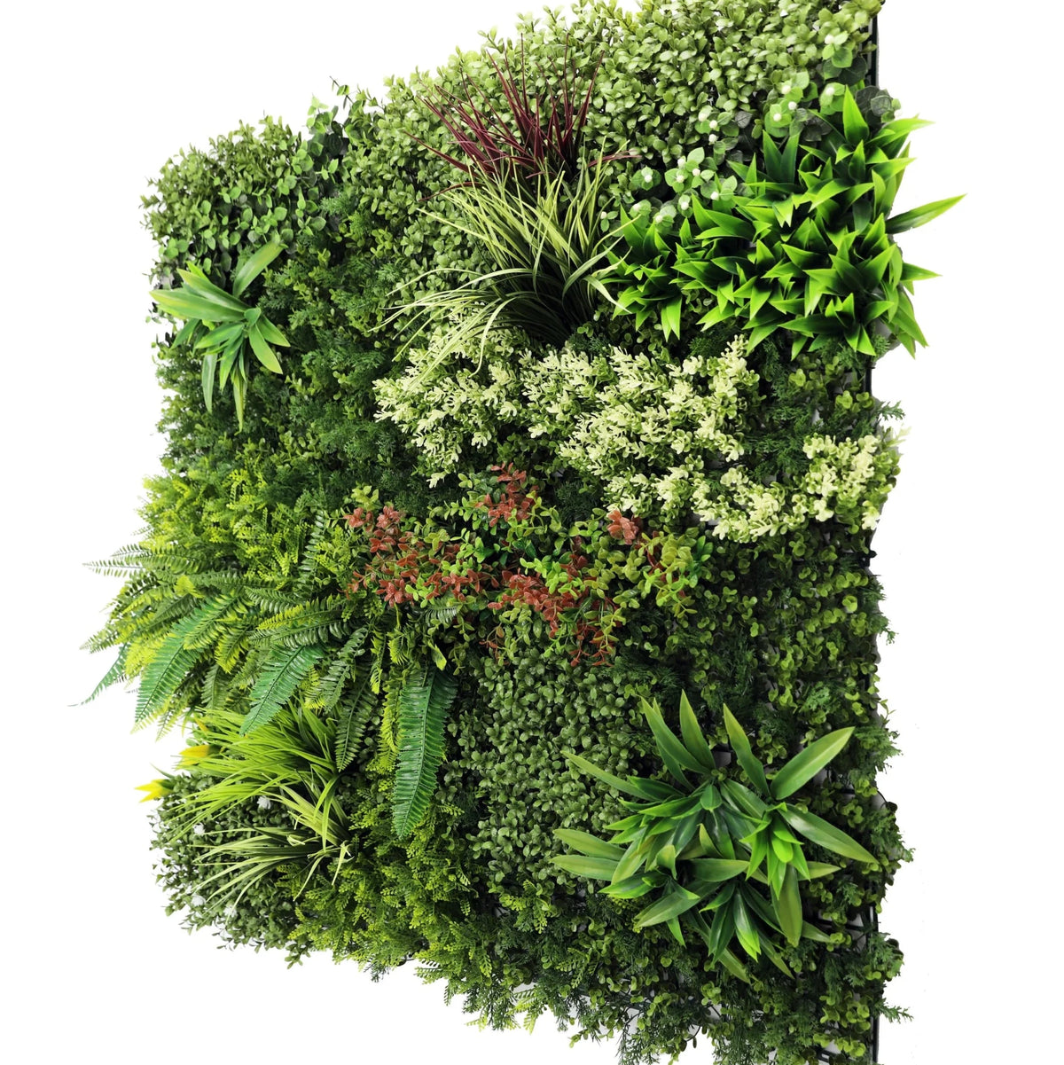Mayfair Artificial Green Wall Panel - Grass Cash and Carry