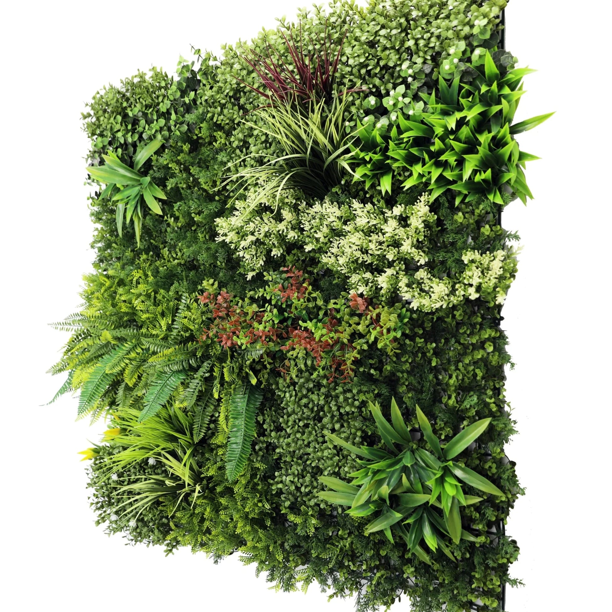 Mayfair Artificial Green Wall Panel - Grass Cash and Carry
