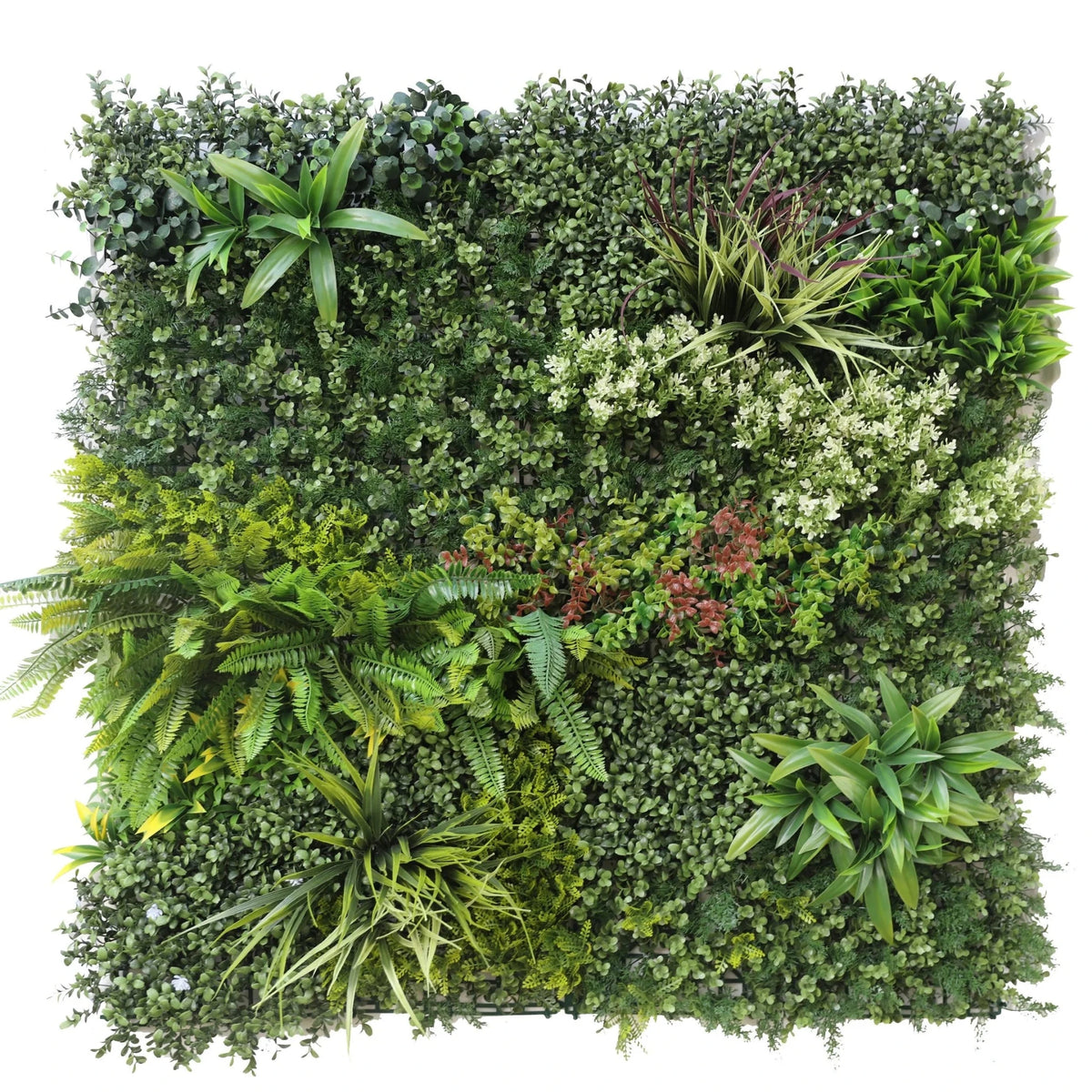 Mayfair Artificial Green Wall Panel - Grass Cash and Carry