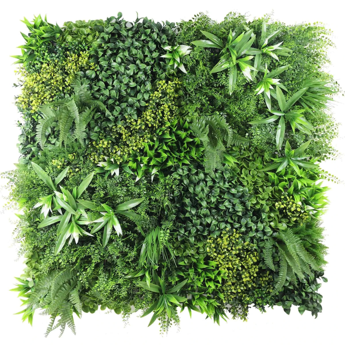 MiddleMarch Artificial Green Wall Panel - Grass Cash and Carry